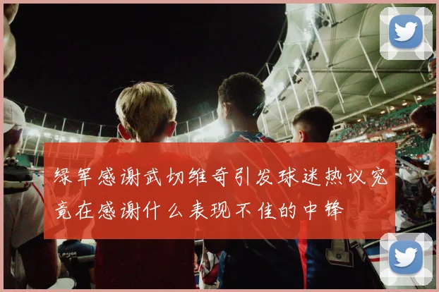 绿军感谢武切维奇引发球迷热议究竟在感谢什么表现不佳的中锋