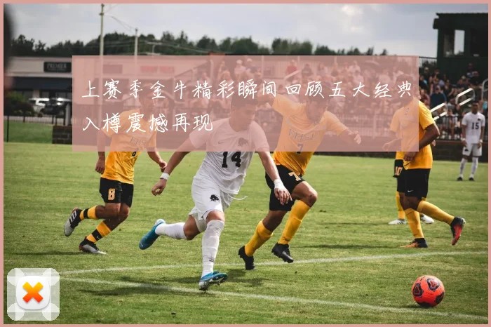 上赛季金牛精彩瞬间回顾五大经典入樽震撼再现