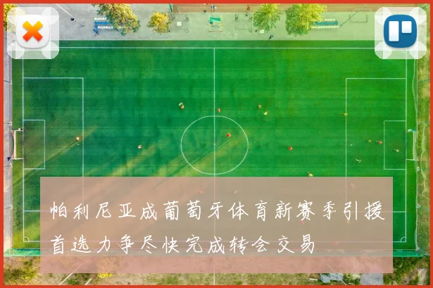 帕利尼亚成葡萄牙体育新赛季引援首选力争尽快完成转会交易