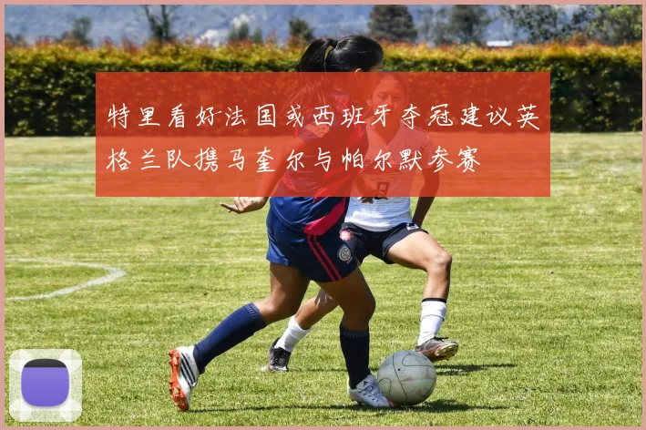 特里看好法国或西班牙夺冠建议英格兰队携马奎尔与帕尔默参赛