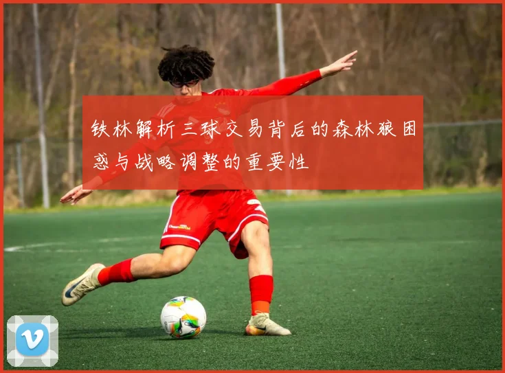 铁林解析三球交易背后的森林狼困惑与战略调整的重要性